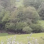 Winkl Liesing