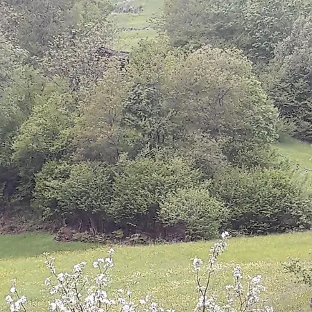 Winkl Liesing